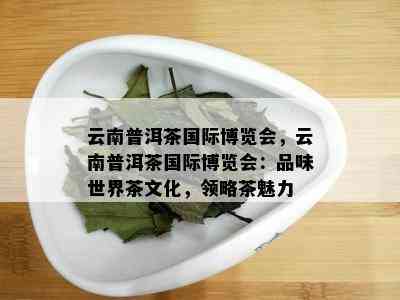 云南普洱茶国际博览会，云南普洱茶国际博览会：品味世界茶文化，领略茶魅力