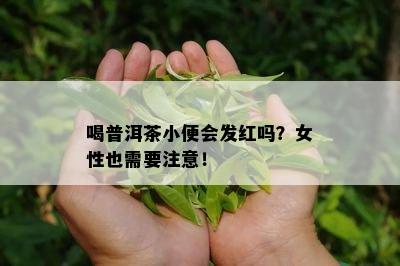 喝普洱茶小便会发红吗？女性也需要留意！