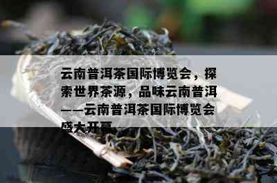 云南普洱茶国际博览会，探索世界茶源，品味云南普洱——云南普洱茶国际博览会盛大开幕