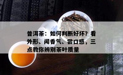 普洱茶：如何判断好坏？看外形、闻香气、尝口感，三点教你辨别茶叶质量