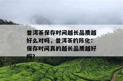 普洱茶保存时间越长品质越好么对吗，普洱茶的陈化：保存时间真的越长品质越好吗？