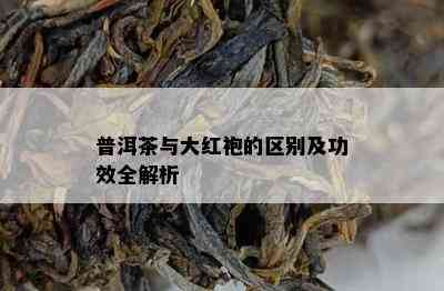 普洱茶与大红袍的区别及功效全解析