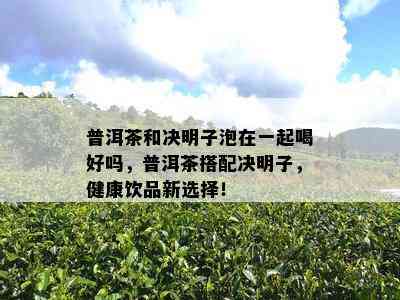 普洱茶和决明子泡在一起喝好吗，普洱茶搭配决明子，健康饮品新选择！