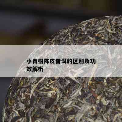 小青柑陈皮普洱的区别及功效解析