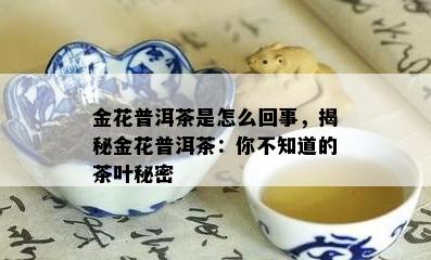 金花普洱茶是怎么回事，揭秘金花普洱茶：你不知道的茶叶秘密