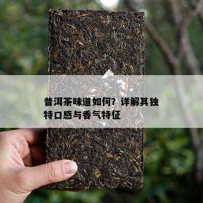 普洱茶味道如何？详解其独特口感与香气特征