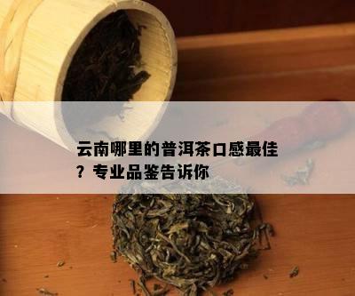 云南哪里的普洱茶口感更佳？专业品鉴告诉你