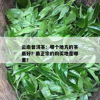 云南普洱茶：哪个地方的茶更好？最正宗的购买地是哪里？