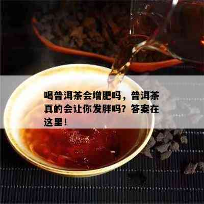 喝普洱茶会增肥吗，普洱茶真的会让你发胖吗？答案在这里！