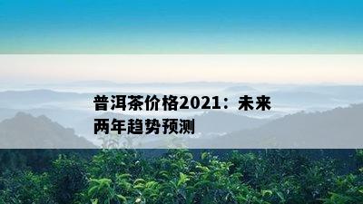 普洱茶价格2021：未来两年趋势预测