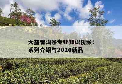 大益普洱茶专业知识视频：系列介绍与2020新品