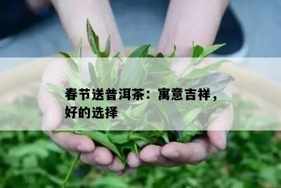 春节送普洱茶：寓意吉祥，好的选择