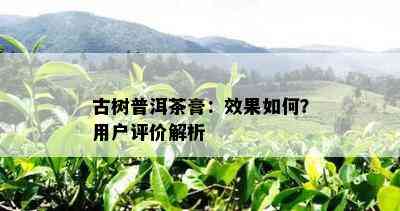 古树普洱茶膏：效果如何？用户评价解析