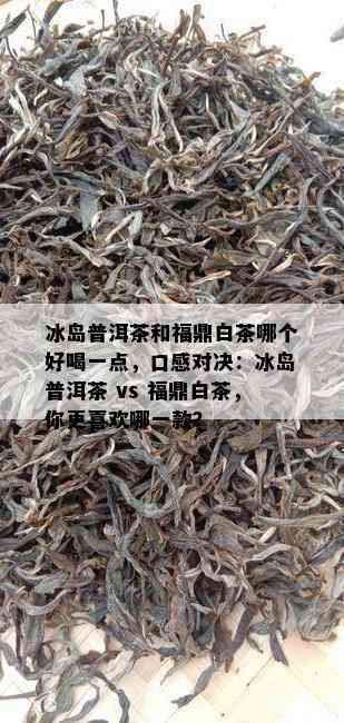 冰岛普洱茶和福鼎白茶哪个好喝一点，口感对决：冰岛普洱茶 vs 福鼎白茶，你更喜欢哪一款？