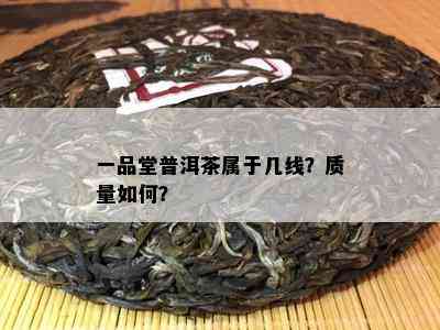 一品堂普洱茶属于几线？质量如何？