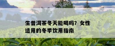 生普洱茶冬天能喝吗？女性适用的冬季饮用指南