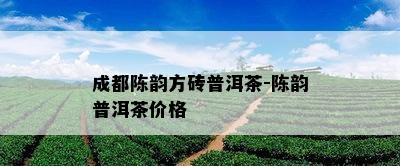 成都陈韵方砖普洱茶-陈韵普洱茶价格