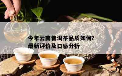 今年云南普洱茶品质怎样？最新评价及口感分析