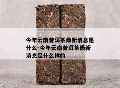 今年云南普洱茶最新消息是什么-今年云南普洱茶最新消息是什么样的