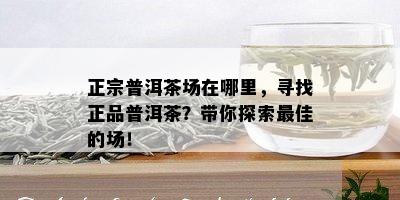 正宗普洱茶场在哪里，寻找正品普洱茶？带你探索更佳的场！