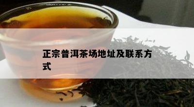 正宗普洱茶场地址及联系方法