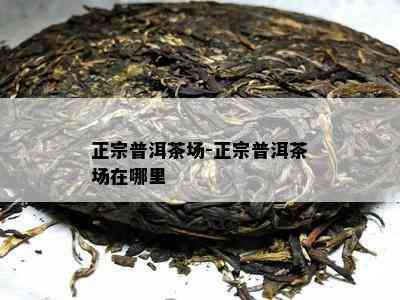 正宗普洱茶场-正宗普洱茶场在哪里