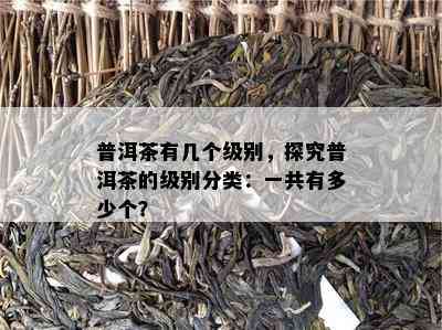 普洱茶有几个级别，探究普洱茶的级别分类：一共有多少个？