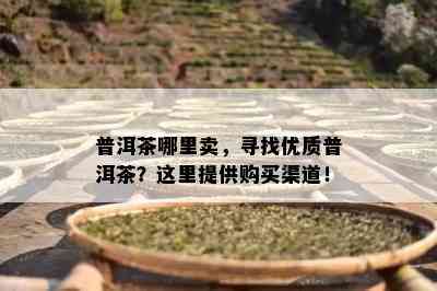 普洱茶哪里卖，寻找优质普洱茶？这里提供购买渠道！