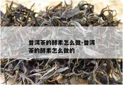 普洱茶的酵素怎么做-普洱茶的酵素怎么做的