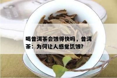 喝普洱茶会饿得快吗，普洱茶：为何让人感觉饥饿？