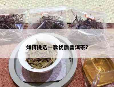 如何挑选一款优质普洱茶？