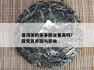 普洱茶的茶多酚含量高吗？探究其起因与作用