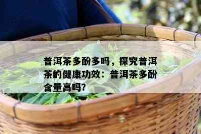 普洱茶多酚多吗，探究普洱茶的健康功效：普洱茶多酚含量高吗？