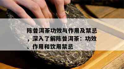 陈普洱茶功效与作用及禁忌，深入熟悉陈普洱茶：功效、作用和饮用禁忌