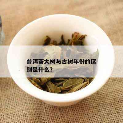 普洱茶大树与古树年份的区别是什么？