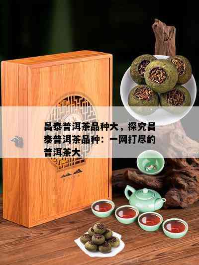 昌泰普洱茶品种大，探究昌泰普洱茶品种：一网打尽的普洱茶大