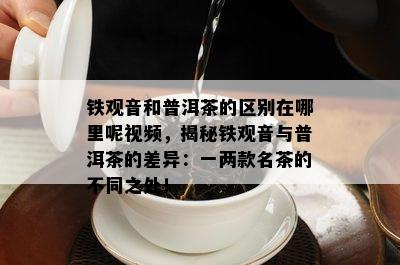 铁观音和普洱茶的区别在哪里呢视频，揭秘铁观音与普洱茶的差异：一两款名茶的不同之处！