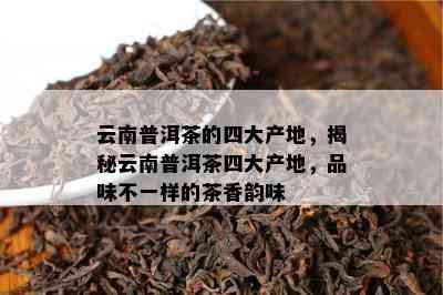 云南普洱茶的四大产地，揭秘云南普洱茶四大产地，品味不一样的茶香韵味