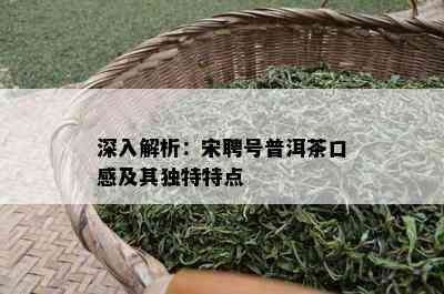 深入解析：宋聘号普洱茶口感及其特别特点