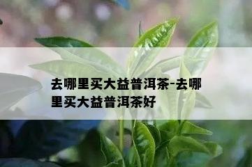 去哪里买大益普洱茶-去哪里买大益普洱茶好