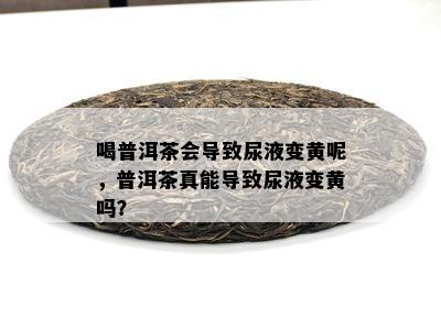 喝普洱茶会引起尿液变黄呢，普洱茶真能引起尿液变黄吗？