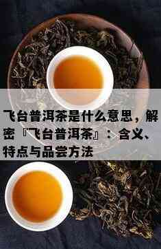 飞台普洱茶是什么意思，解密『飞台普洱茶』：含义、特点与品尝方法