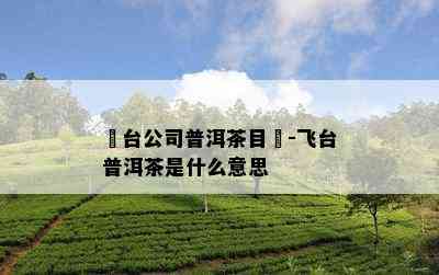 飛台公司普洱茶目錄-飞台普洱茶是什么意思