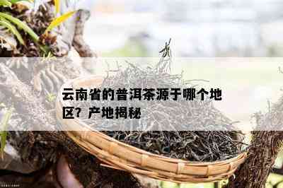 云南省的普洱茶源于哪个地区？产地揭秘