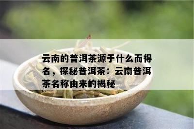 云南的普洱茶源于什么而得名，探秘普洱茶：云南普洱茶名称由来的揭秘