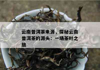 云南普洱茶来源，探秘云南普洱茶的源头：一场茶叶之旅