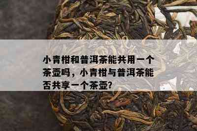 小青柑和普洱茶能共用一个茶壶吗，小青柑与普洱茶能否共享一个茶壶？