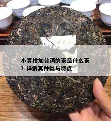 小青柑加普洱的茶是什么茶？详解其种类与特点