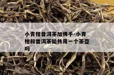 小青柑普洱茶加佛手-小青柑和普洱茶能共用一个茶壶吗