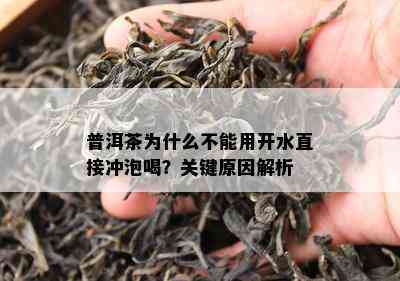 普洱茶为什么不能用开水直接冲泡喝？关键起因解析